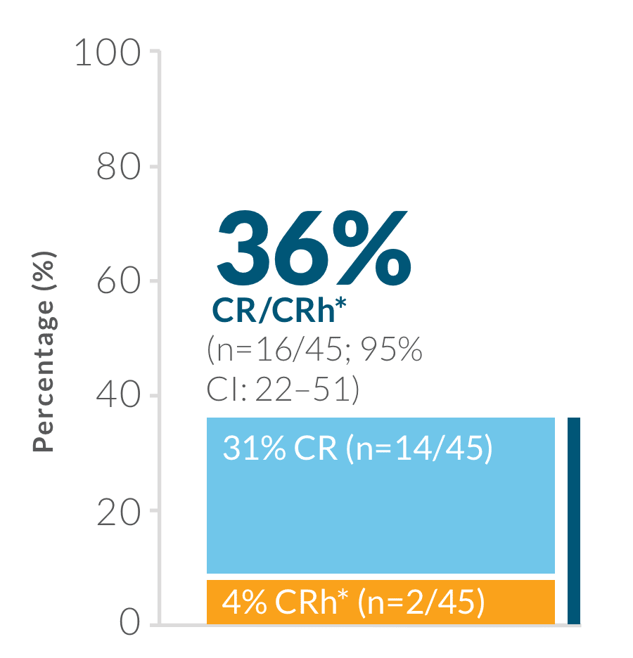 Primary endpoint: CR/CRh rate within the first 2 treatment cycles