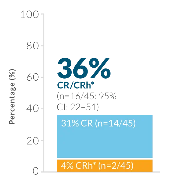 Primary endpoint: CR/CRh rate within the first 2 treatment cycles