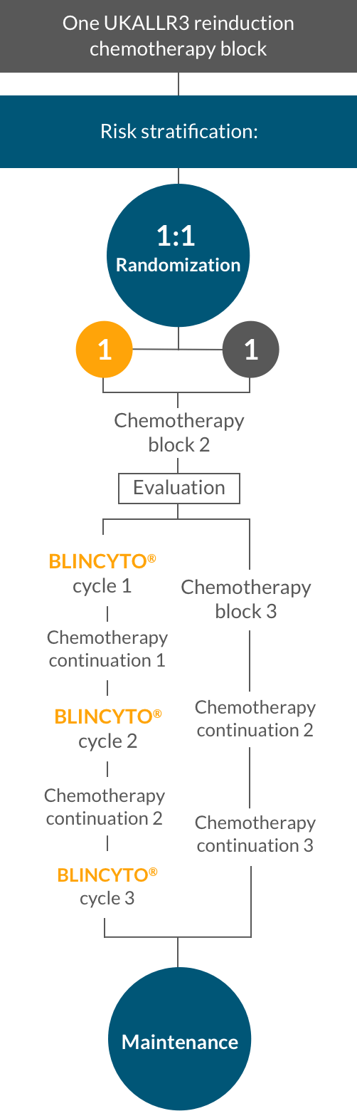 BLINCYTO® (blinatumomab) consolidation