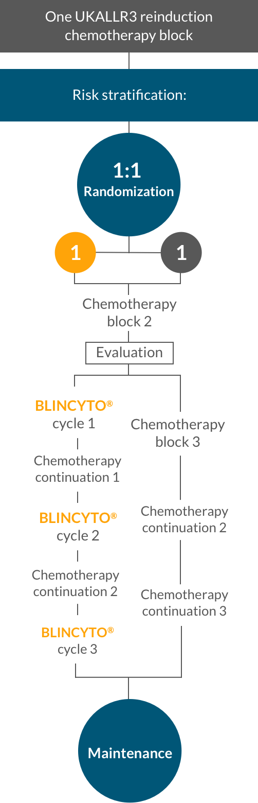 BLINCYTO® (blinatumomab) consolidation