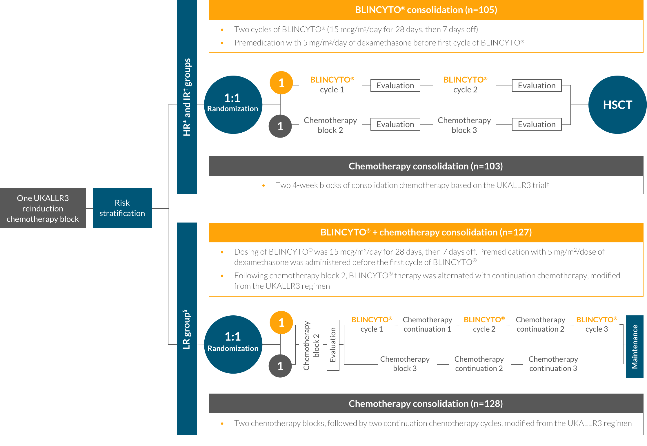 BLINCYTO® (blinatumomab) consolidation